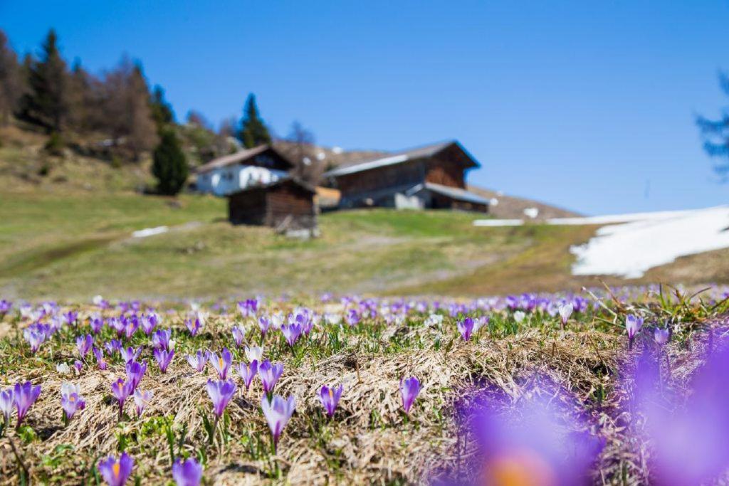 Ferienhaus/Chalet In Der Blaiche San Leonardo in Passiria Exterior foto